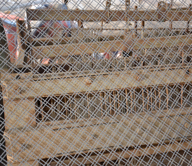 Decorative Woven Wire Mesh