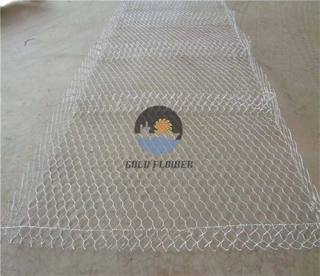 Terra Mesh
